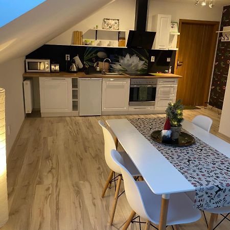Apartamenty - Pod Wierzbami Dwikozy Екстериор снимка