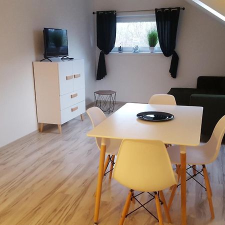 Apartamenty - Pod Wierzbami Dwikozy Стая снимка