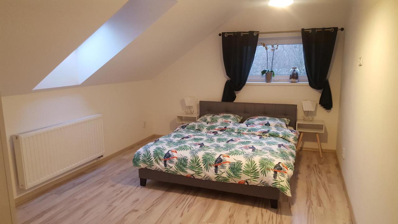 Apartamenty - Pod Wierzbami Dwikozy Екстериор снимка