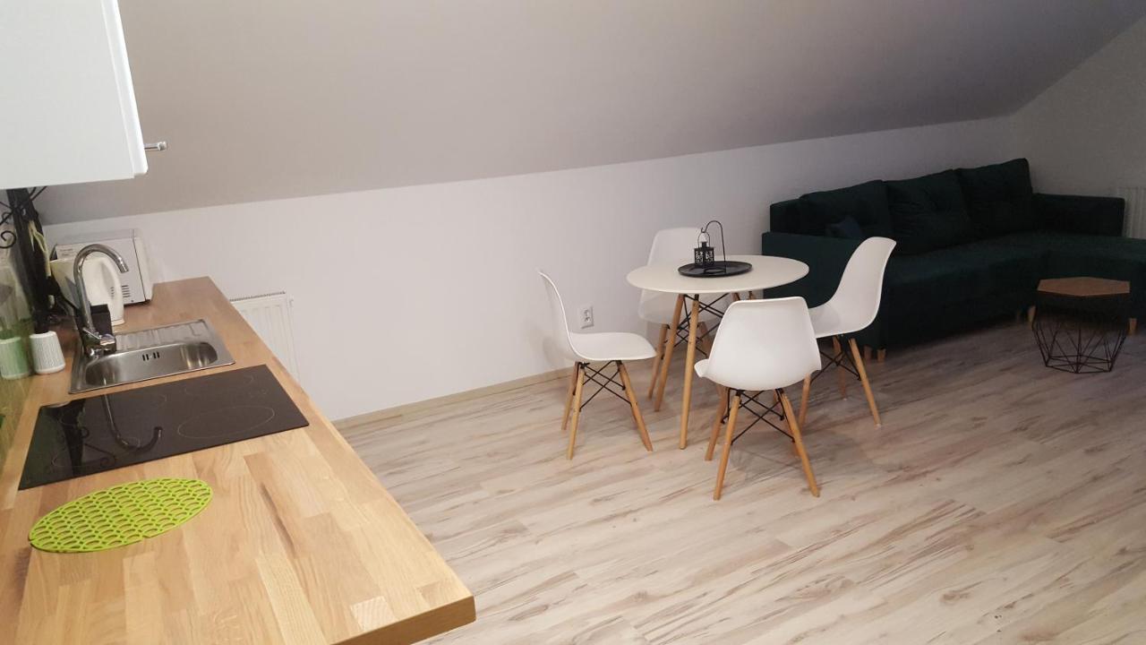 Apartamenty - Pod Wierzbami Dwikozy Екстериор снимка