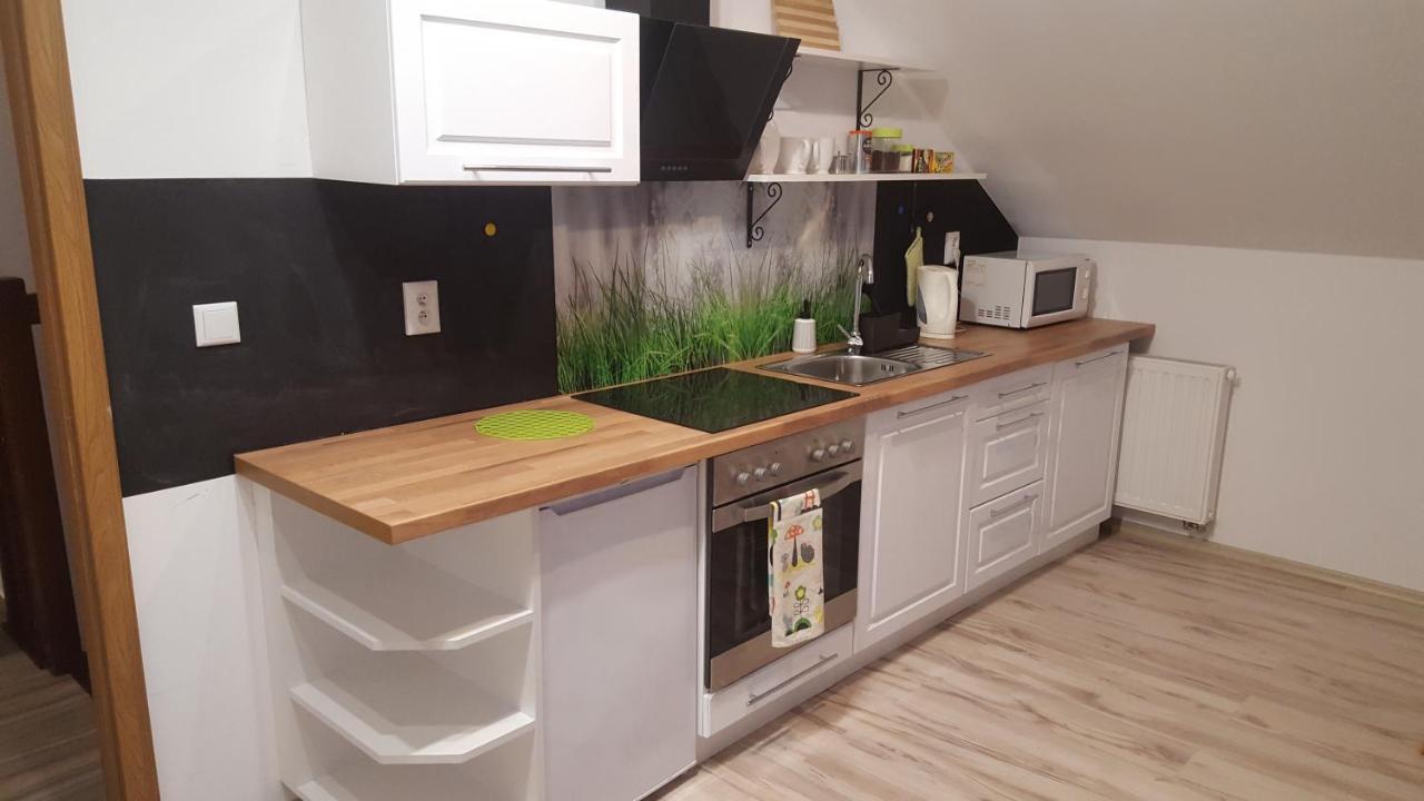 Apartamenty - Pod Wierzbami Dwikozy Екстериор снимка