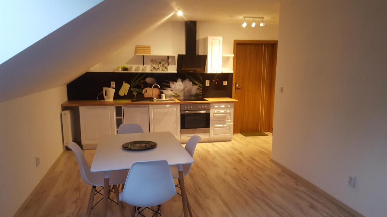 Apartamenty - Pod Wierzbami Dwikozy Екстериор снимка