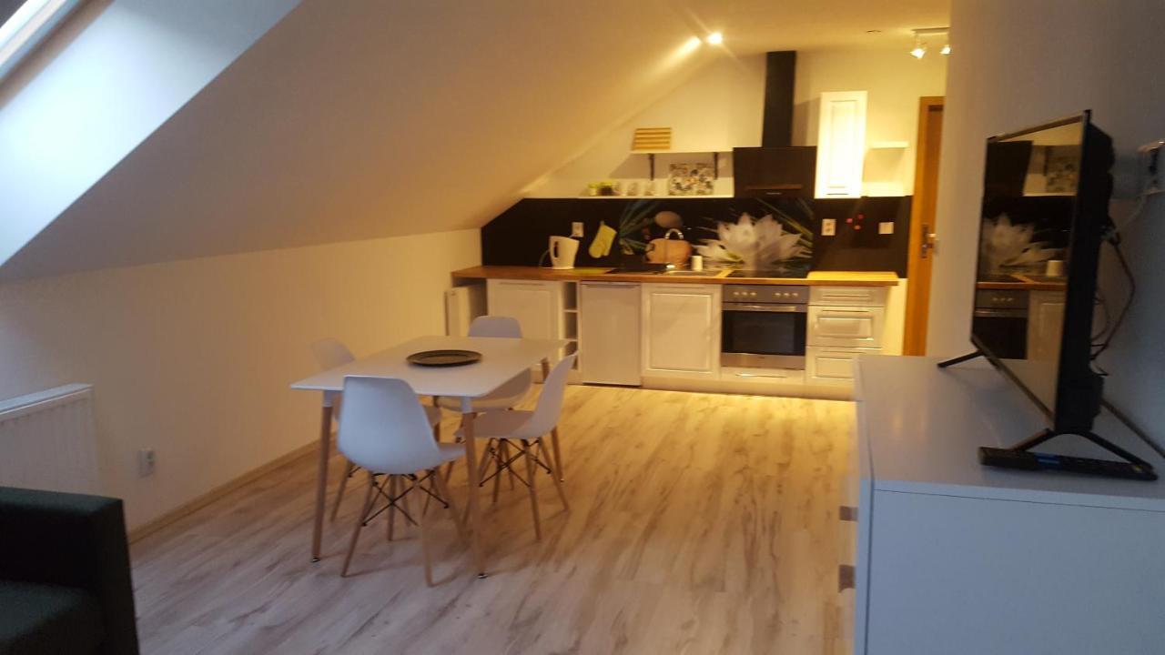 Apartamenty - Pod Wierzbami Dwikozy Екстериор снимка