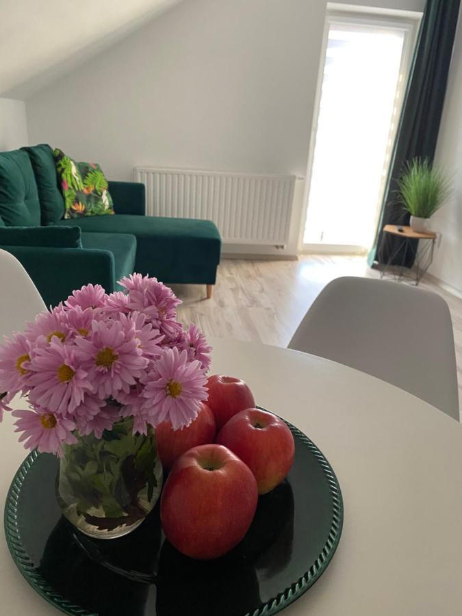 Apartamenty - Pod Wierzbami Dwikozy Екстериор снимка