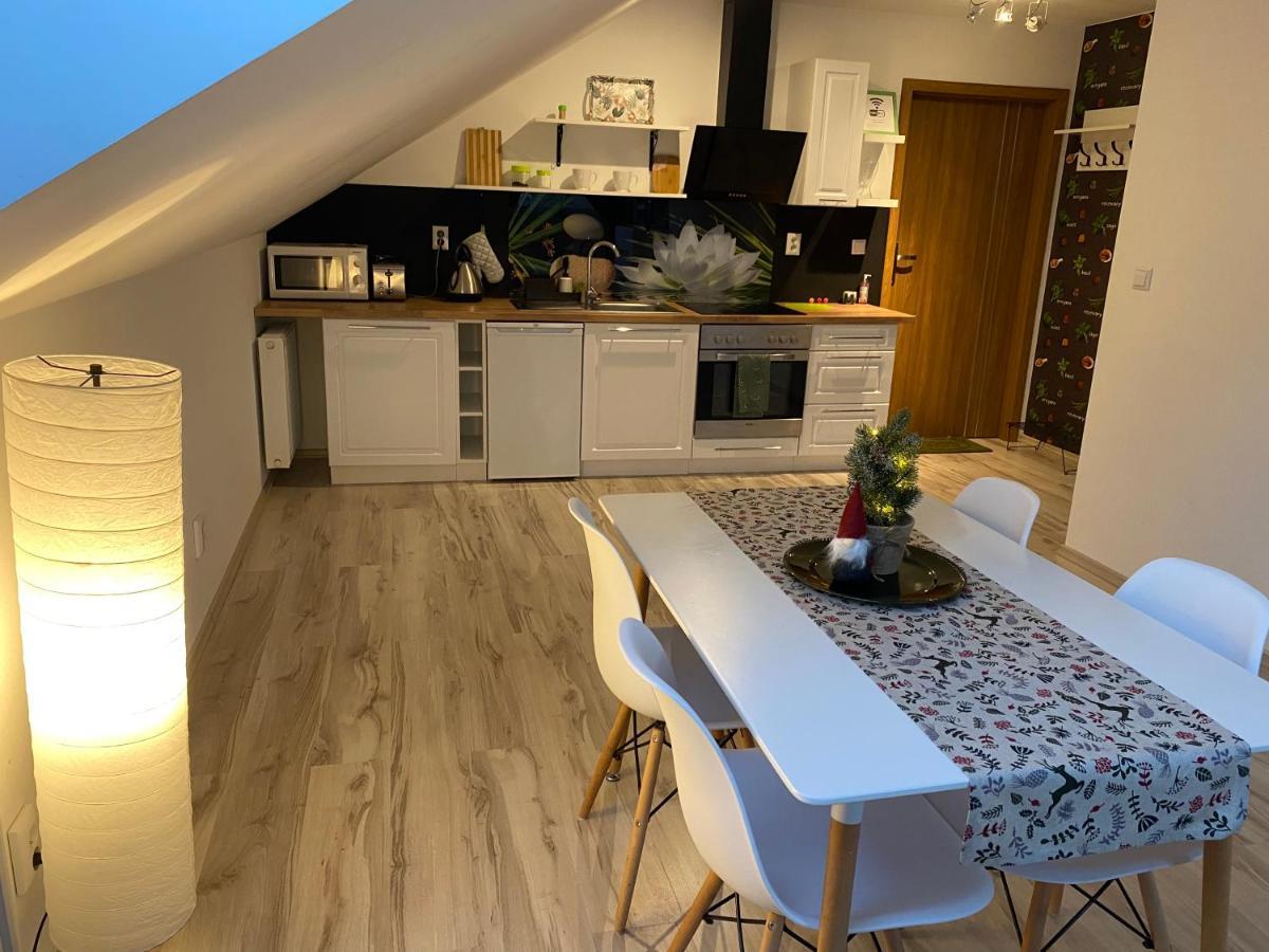 Apartamenty - Pod Wierzbami Dwikozy Екстериор снимка