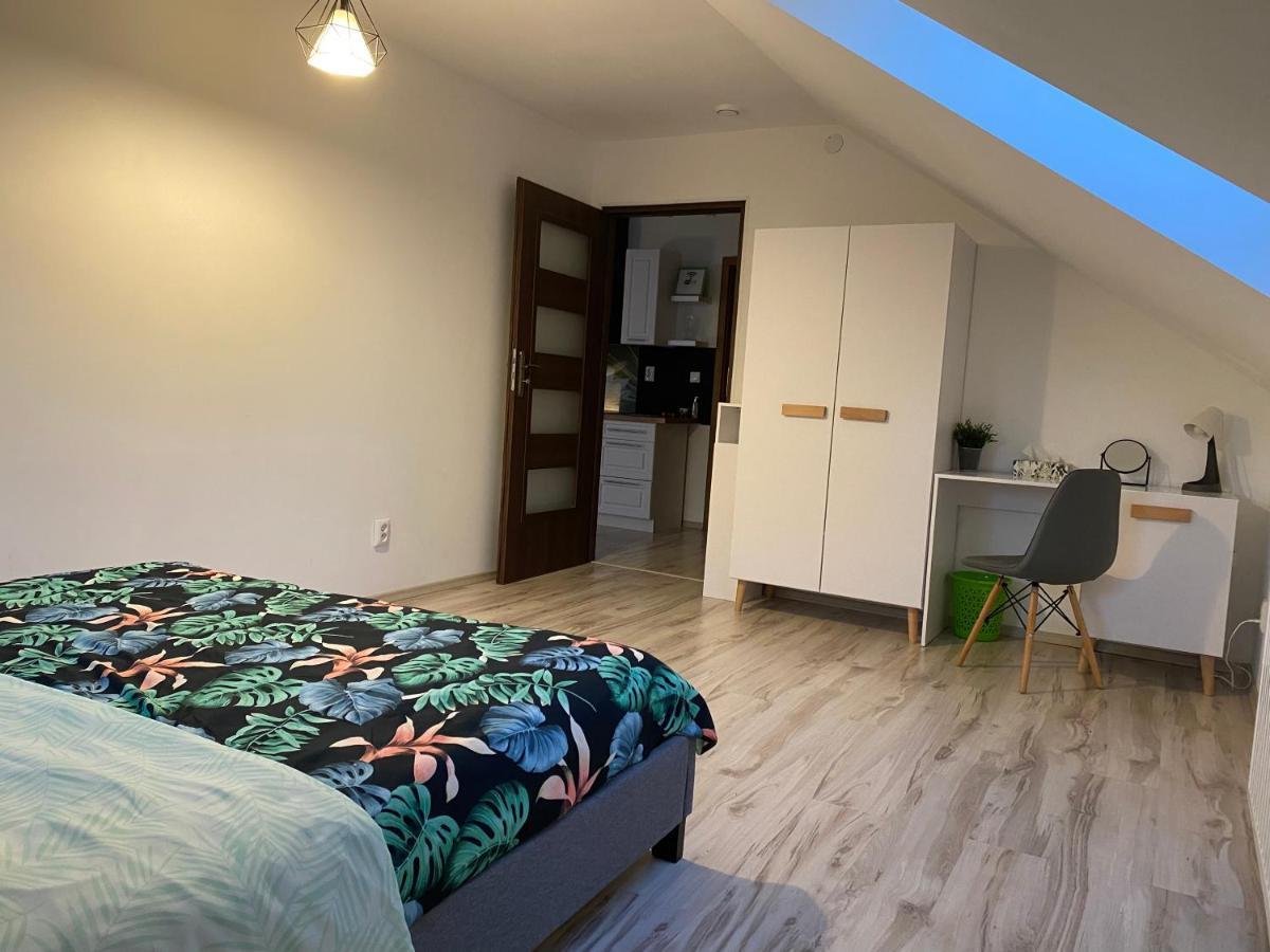 Apartamenty - Pod Wierzbami Dwikozy Екстериор снимка